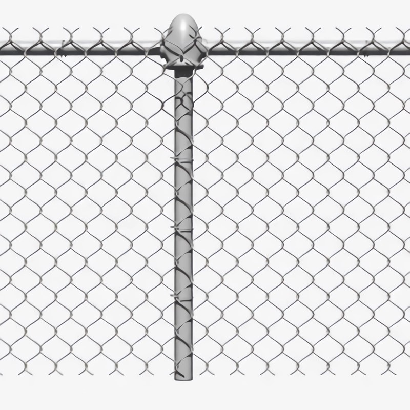 Galvanized chain link fence
