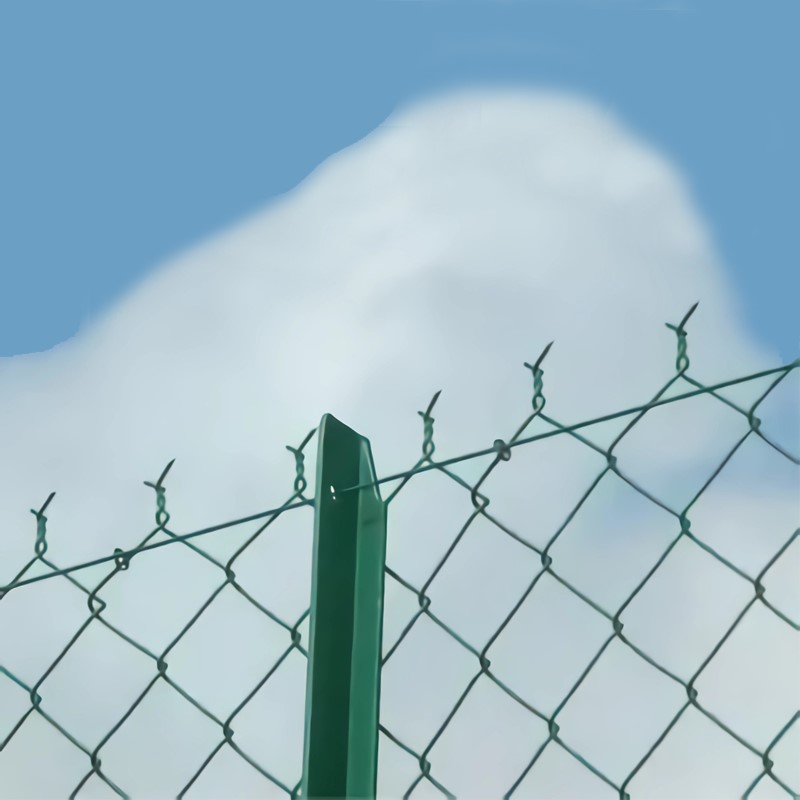 PVC coating chain link fence system